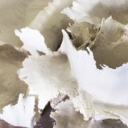 Sculpture-vegetale1DETAIL