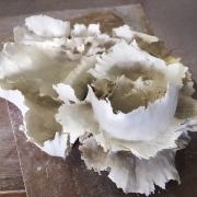 Sculpture-vegetale1S